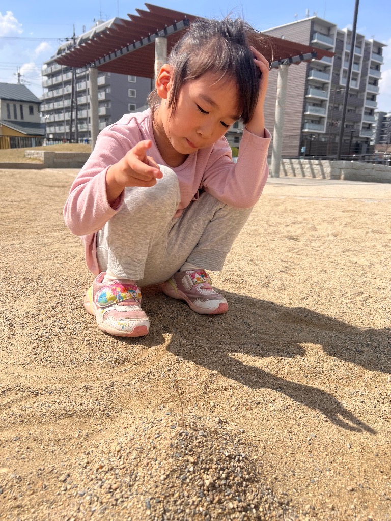✨公園✨